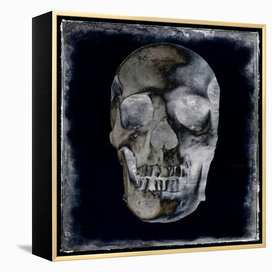 Skull II-Martin Wagner-Framed Stretched Canvas