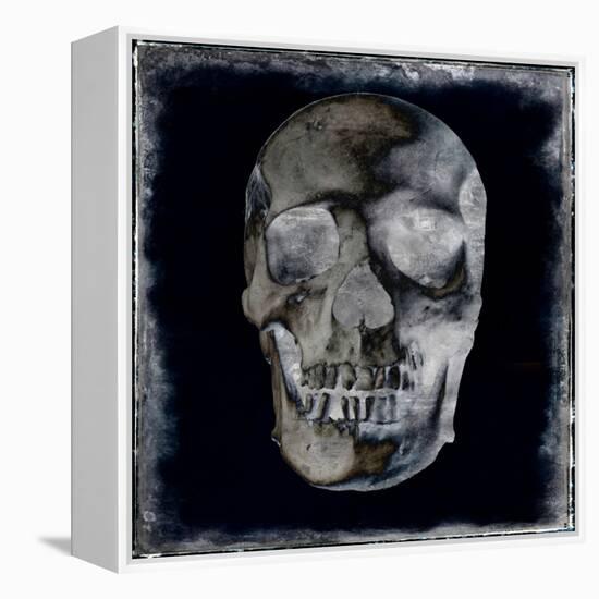 Skull II-Martin Wagner-Framed Stretched Canvas