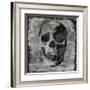 Skull III-Martin Wagner-Framed Giclee Print