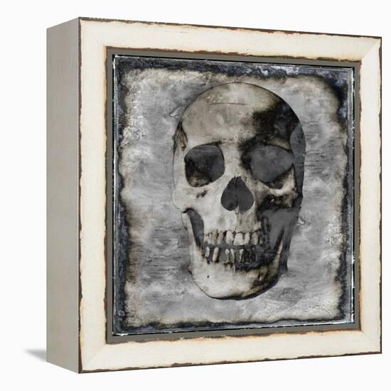 Skull III-Martin Wagner-Framed Stretched Canvas