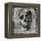 Skull III-Martin Wagner-Framed Stretched Canvas