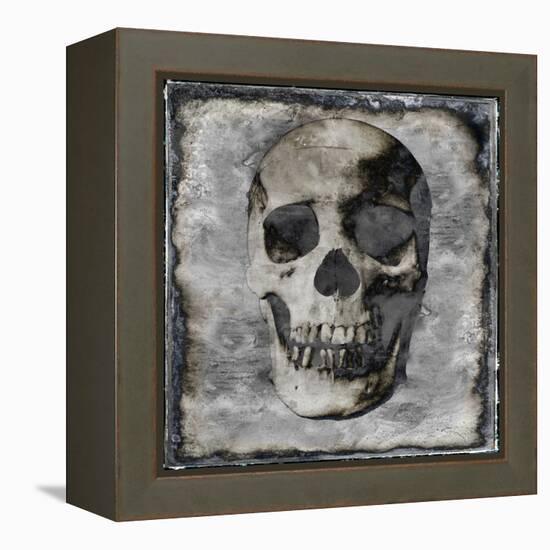 Skull III-Martin Wagner-Framed Stretched Canvas