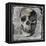Skull III-Martin Wagner-Framed Stretched Canvas