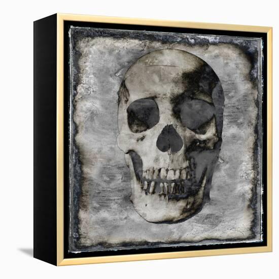 Skull III-Martin Wagner-Framed Stretched Canvas