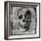 Skull III-Martin Wagner-Framed Art Print