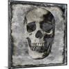 Skull III-Martin Wagner-Mounted Art Print