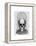 Skull in Bell Jar-Fab Funky-Framed Stretched Canvas