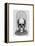 Skull in Bell Jar-Fab Funky-Framed Stretched Canvas