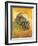 Skull in Profile, 1887-Vincent van Gogh-Framed Premium Giclee Print