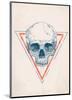 Skull in Triangle No. 2-Balazs Solti-Mounted Art Print