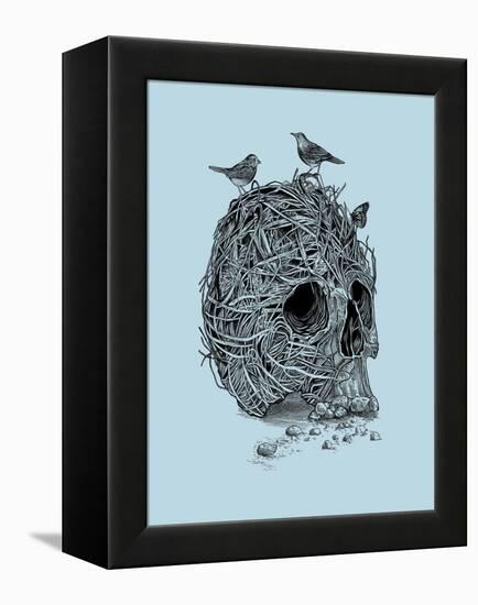 Skull Nest-Rachel Caldwell-Framed Stretched Canvas