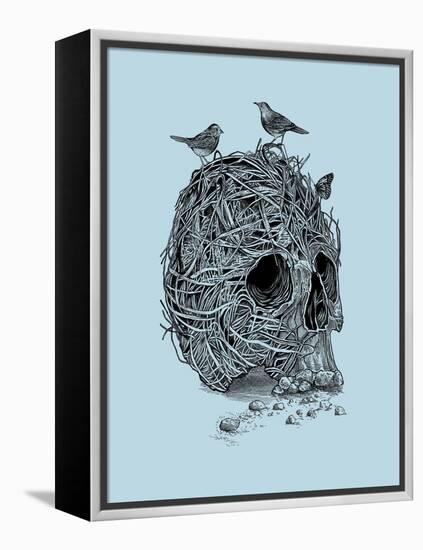 Skull Nest-Rachel Caldwell-Framed Stretched Canvas