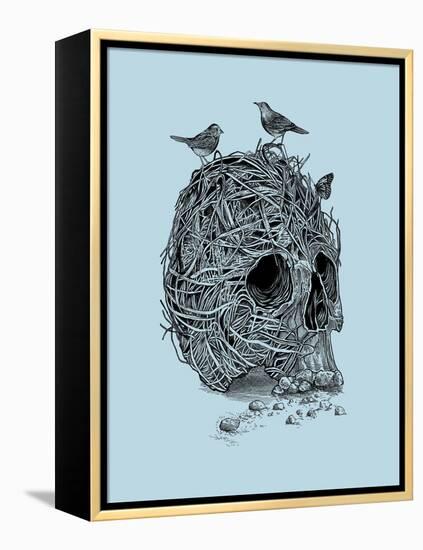 Skull Nest-Rachel Caldwell-Framed Stretched Canvas