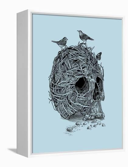 Skull Nest-Rachel Caldwell-Framed Stretched Canvas