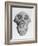 Skull of an Ape-null-Framed Art Print