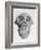 Skull of an Ape-null-Framed Art Print