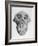 Skull of an Ape-null-Framed Art Print