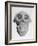 Skull of an Ape-null-Framed Art Print