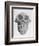 Skull of an Ape-null-Framed Premium Giclee Print