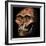 Skull of Australopithecus Africanus-Unknown-Framed Giclee Print