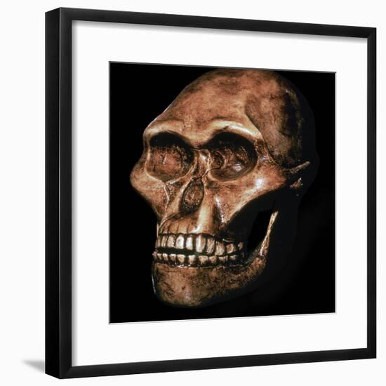 Skull of Australopithecus Africanus-Unknown-Framed Giclee Print