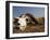 Skull of Cape Buffalo, Kruger National Park, South Africa, Africa-Paul Allen-Framed Photographic Print