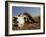 Skull of Cape Buffalo, Kruger National Park, South Africa, Africa-Paul Allen-Framed Photographic Print