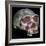 Skull of Homo Erectus-Unknown-Framed Giclee Print