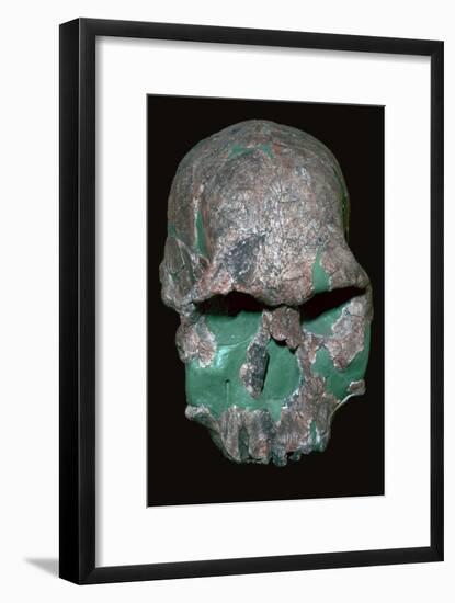 Skull of Homo Habilis. Artist: Unknown-Unknown-Framed Giclee Print