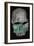 Skull of Homo Habilis. Artist: Unknown-Unknown-Framed Giclee Print