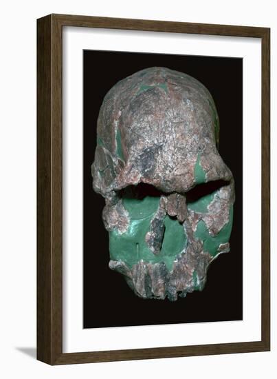 Skull of Homo Habilis. Artist: Unknown-Unknown-Framed Giclee Print