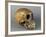 Skull of Homo Sapiens-null-Framed Giclee Print