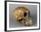 Skull of Homo Sapiens-null-Framed Giclee Print