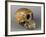 Skull of Homo Sapiens-null-Framed Giclee Print