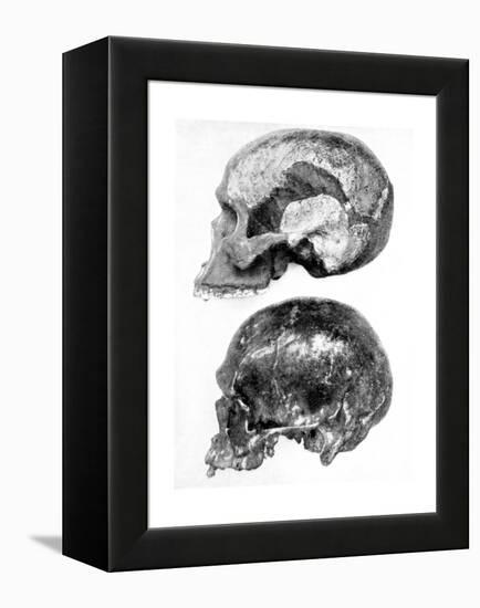 Skull of Piltdown Man (Eanothropus Daswon), 1912-null-Framed Premier Image Canvas