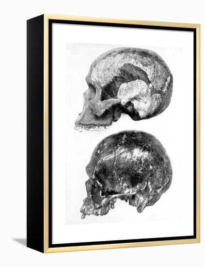 Skull of Piltdown Man (Eanothropus Daswon), 1912-null-Framed Premier Image Canvas