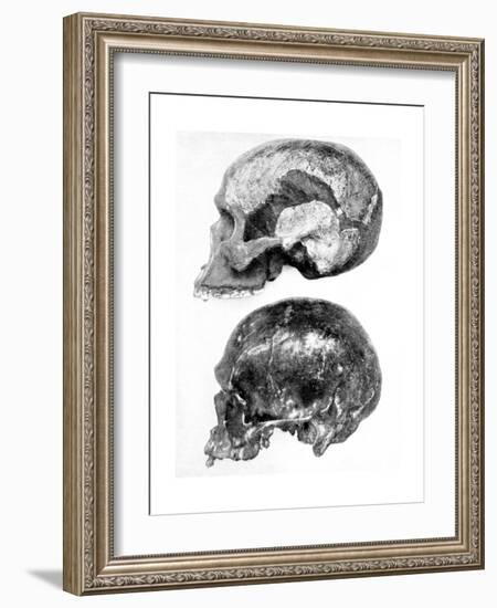 Skull of Piltdown Man (Eanothropus Daswon), 1912-null-Framed Giclee Print