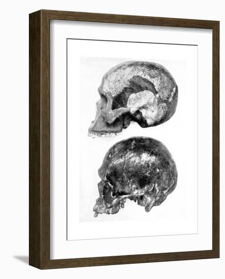 Skull of Piltdown Man (Eanothropus Daswon), 1912-null-Framed Giclee Print