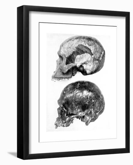 Skull of Piltdown Man (Eanothropus Daswon), 1912-null-Framed Giclee Print