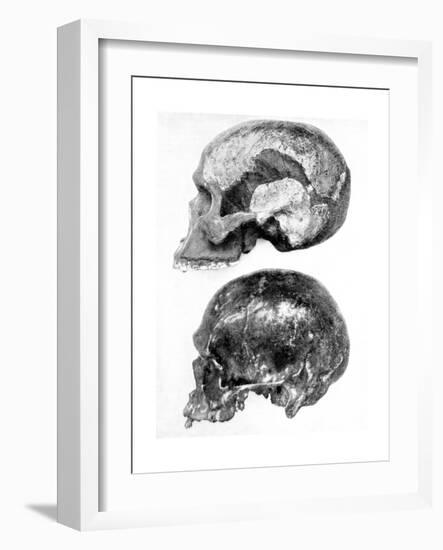 Skull of Piltdown Man (Eanothropus Daswon), 1912-null-Framed Giclee Print