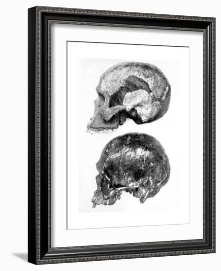 Skull of Piltdown Man (Eanothropus Daswon), 1912-null-Framed Giclee Print