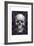 Skull on Damask-Ethan Harper-Framed Art Print