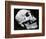 Skull Profile, 1952-Brett Weston-Framed Photographic Print