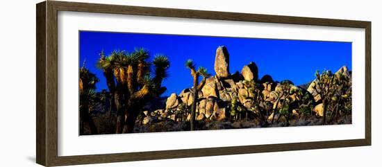 Skull Rock and Joshua trees at Joshua Tree National Park, California, USA-null-Framed Photographic Print