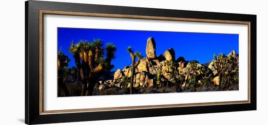 Skull Rock and Joshua trees at Joshua Tree National Park, California, USA-null-Framed Photographic Print