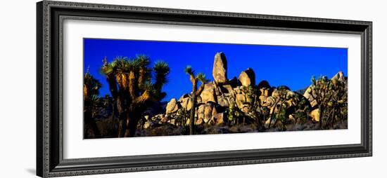 Skull Rock and Joshua trees at Joshua Tree National Park, California, USA-null-Framed Photographic Print