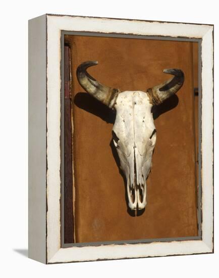 Skull, Santa Fe, NM-null-Framed Premier Image Canvas