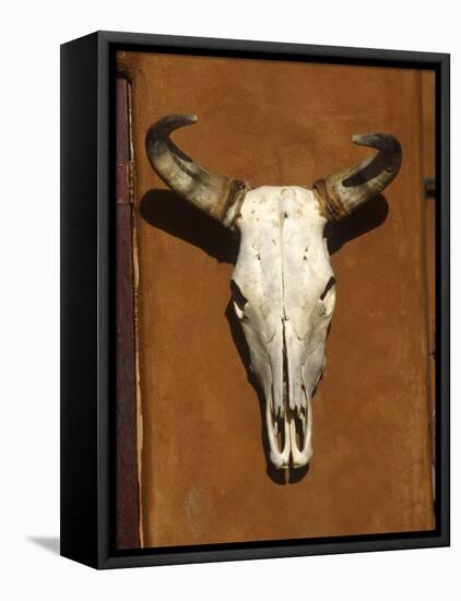 Skull, Santa Fe, NM-null-Framed Premier Image Canvas