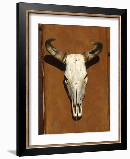 Skull, Santa Fe, NM-null-Framed Photographic Print