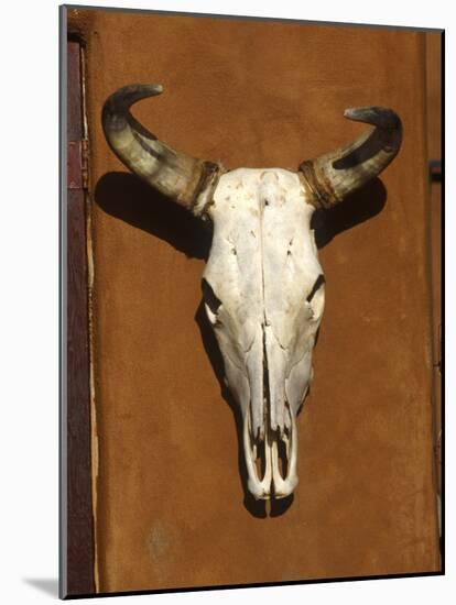 Skull, Santa Fe, NM-null-Mounted Photographic Print